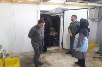 کشف کارگاه غیرمجاز بسته‌بندی غیربهداشتی گوشت و مرغ و توقیف ۵ تن محصول غیرقابل مصرف در منطقه ۱۸
