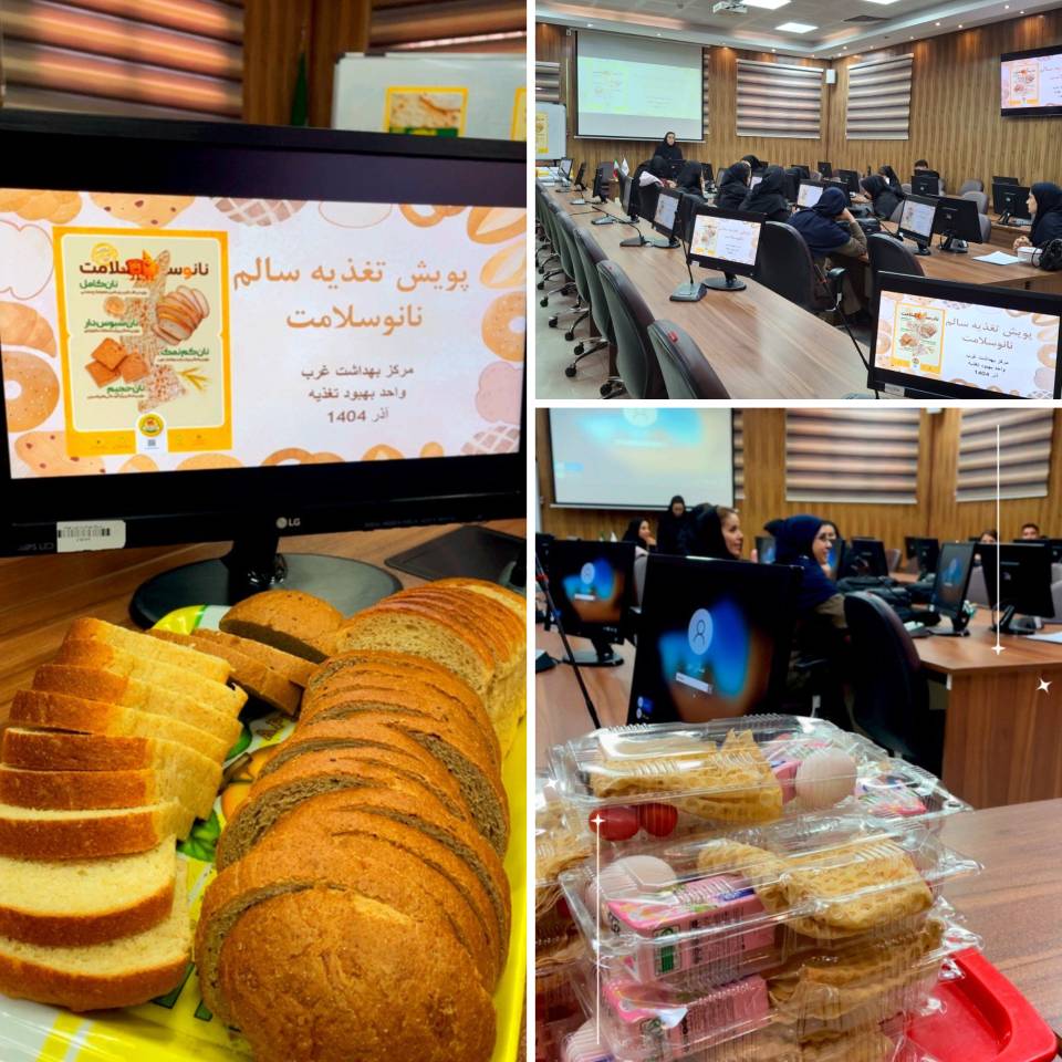 برگزاری نشست آموزشی و هماهنگی کارشناسان تغذیه در راستای پویش ملی «نانوسلامت»